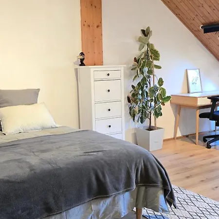 Apartment Bright & Spacious In Graz
