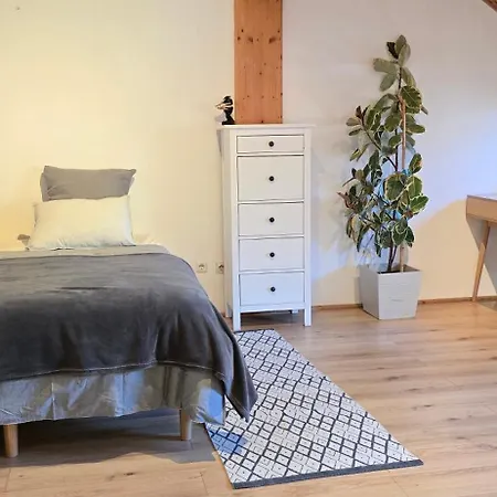 Bright & Spacious In Apartament