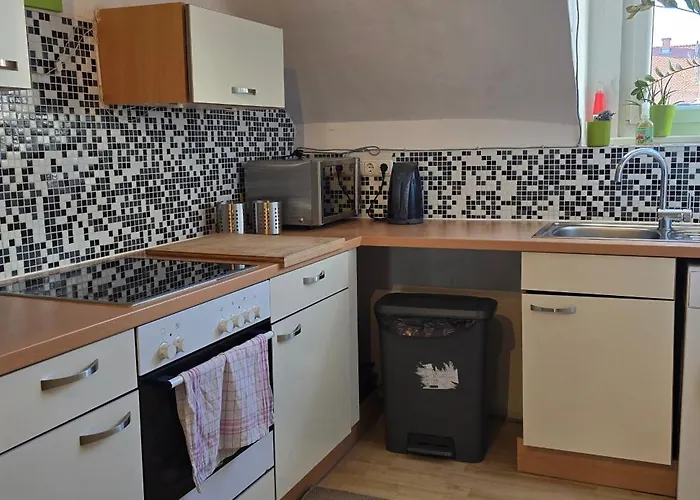 Bright & Spacious In 公寓 格拉茨