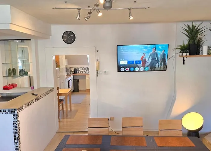 Bright & Spacious In 公寓 格拉茨